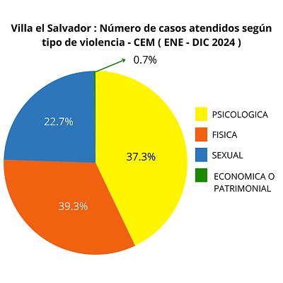 Villa el Salvador Numero de casos atendidos según tipo de violencia - CEM